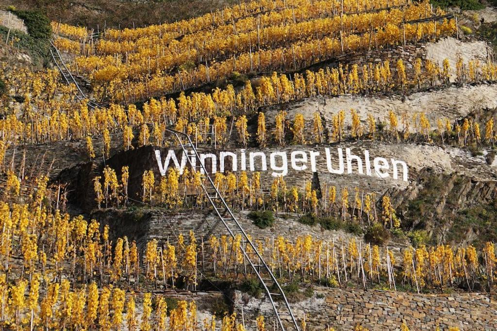 Ferienwohnung Sabine Jacoby Winningen Exterior foto